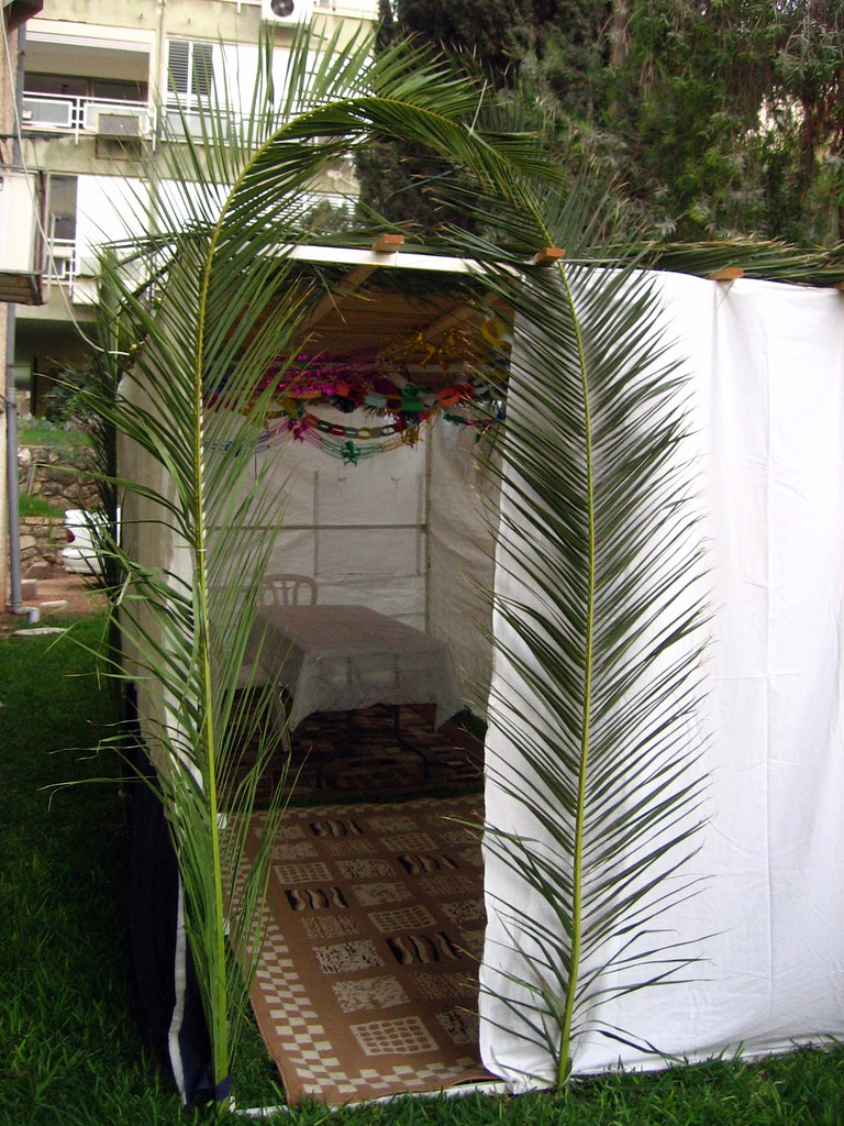 Halachic Considerations for Sleeping in the Sukkah During the Late Stages of Pregnancy